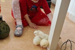 IMG_20250410_090342