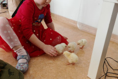 IMG_20250410_090406