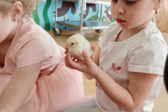 IMG_20250410_090510