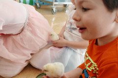 IMG_20250410_090516