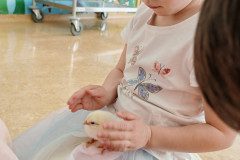 IMG_20250410_090523