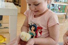 IMG_20250410_090544