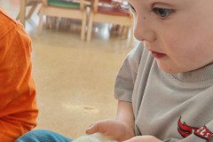 IMG_20250410_090608