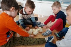 IMG_20250410_092715