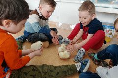 IMG_20250410_092726