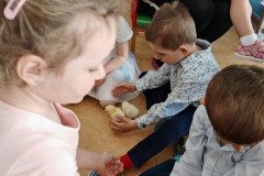 IMG_20250410_093324