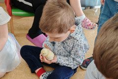 IMG_20250410_093333