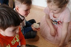 IMG_20250410_093343