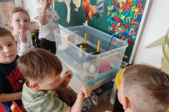 IMG_20250410_105610