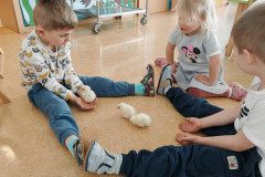 IMG_20250410_110809