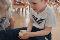 IMG_20250410_110940