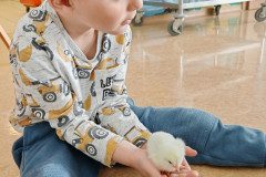 IMG_20250410_110943