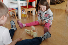 IMG_20250410_111236
