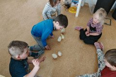 IMG_20250411_095419