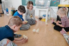 IMG_20250411_095427