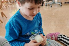 IMG_20250411_095736