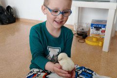 IMG_20250411_100124
