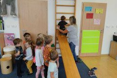 IMG_20231120_090913