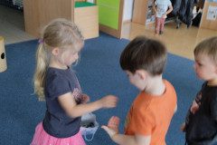 IMG_20231120_094254