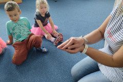 IMG_20231120_095029
