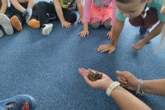 IMG_20231120_095147