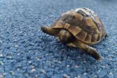 IMG_20231120_095206