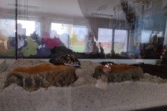 IMG_20231120_095729