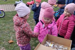 IMG_20231121_103129