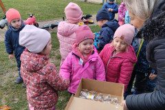 IMG_20231121_103134