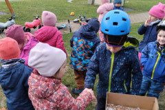IMG_20231121_103151