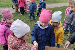 IMG_20231121_103218