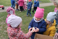 IMG_20231121_103221