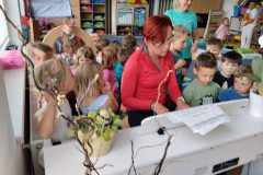 IMG_20240507_111113