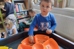 IMG_20240507_112439