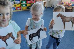 IMG_20240513_093922