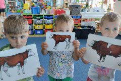 IMG_20240513_094004