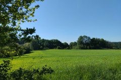 IMG_20240514_085916