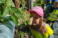 IMG_20240514_091407