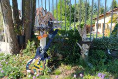 IMG_20240514_095810