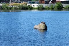 IMG_20240514_100123