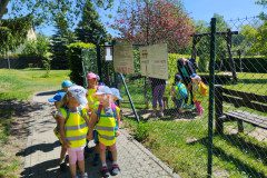 IMG_20240514_110035