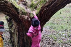 IMG_20231221_105337