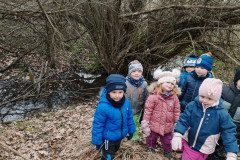 IMG-20250319-WA0001
