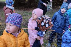 IMG_20240313_101510
