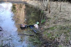 IMG_20240313_102011