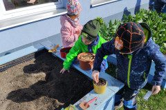 IMG_20240319_103117