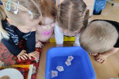 IMG_20240320_094003