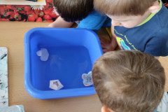 IMG_20240320_094921