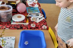 IMG_20240320_095301