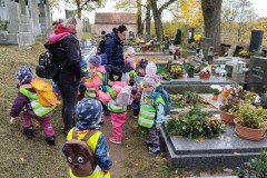 IMG_20231101_101851